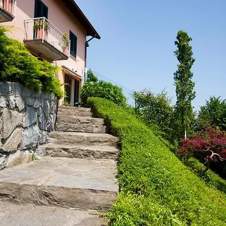 Belvedere Holiday *